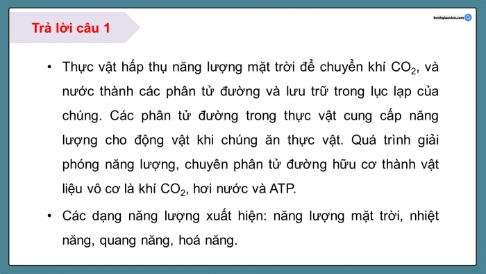 Giáo án điện tử KHTN 9 kết nối - Phân môn Vật lí Bài 16: Vòng năng lượng trên Trái Đất. Năng lượng hoá thạch