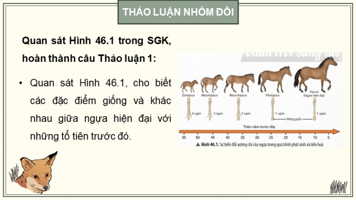 Giáo án điện tử KHTN 9 chân trời - Phân môn Sinh học Bài 46: Khái niệm về tiến hóa và các hình thức chọn lọc