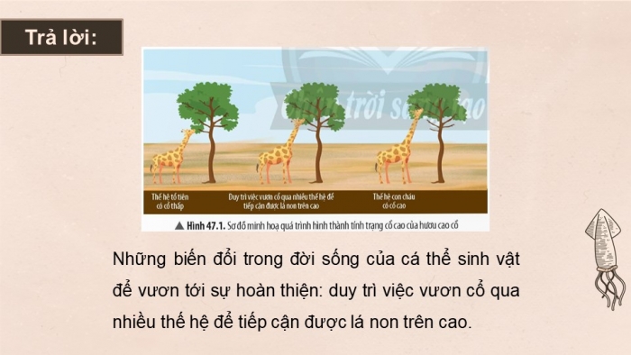 Giáo án điện tử KHTN 9 chân trời - Phân môn Sinh học Bài 47: Cơ chế tiến hóa