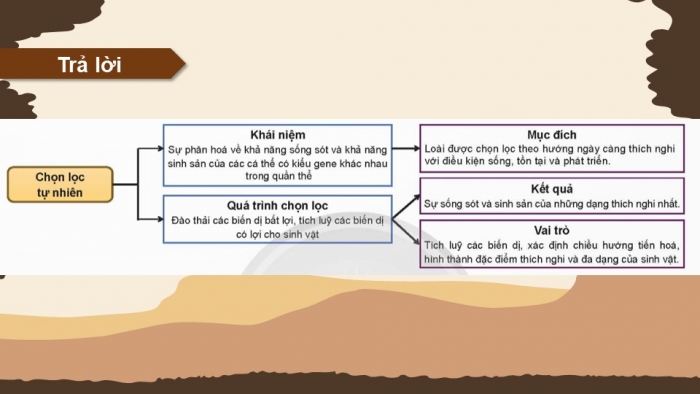 Giáo án điện tử KHTN 9 chân trời - Phân môn Sinh học Bài Ôn tập chủ đề 12