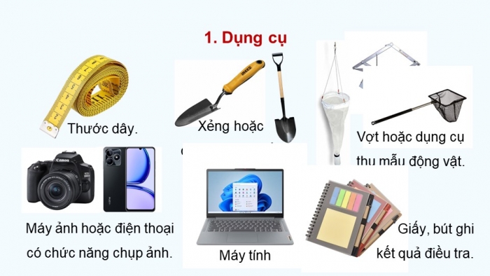 Giáo án điện tử Sinh học 12 kết nối Bài 27: Thực hành Tìm hiểu cấu trúc dinh dưỡng của quần xã trong tự nhiên