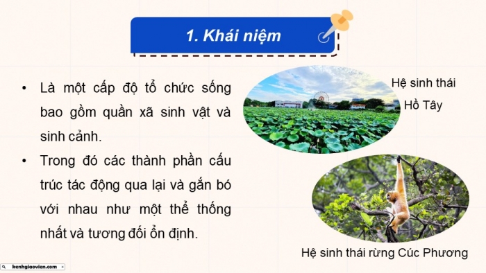 Giáo án điện tử Sinh học 12 kết nối Bài 28: Hệ sinh thái