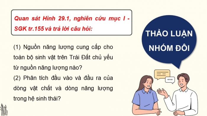 Giáo án điện tử Sinh học 12 kết nối Bài 29: Trao đổi vật chất và chuyển hoá năng lượng trong hệ sinh thái