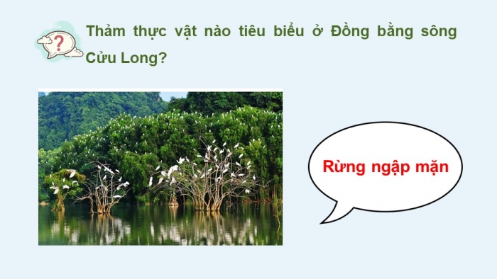 Giáo án điện tử Địa lí 12 cánh diều Bài 25: Sử dụng hợp lí tự nhiên để phát triển kinh tế ở đồng bằng sông Cửu Long