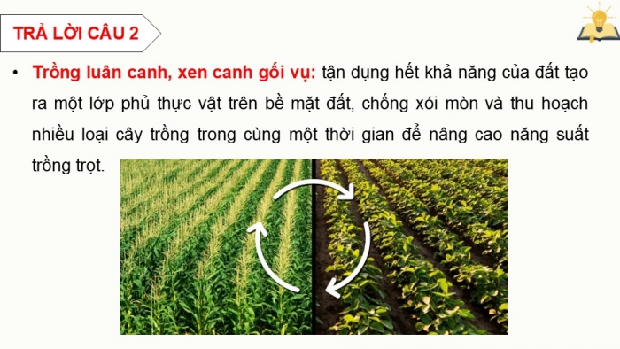 Giáo án điện tử chuyên đề Sinh học 12 chân trời Ôn tập CĐ 3