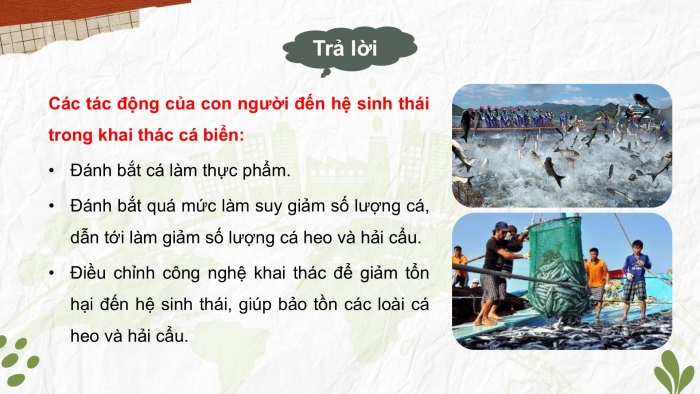 Giáo án điện tử chuyên đề Sinh học 12 cánh diều Bài 8: Sinh thái nhân văn và phát triển bền vững