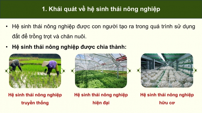 Giáo án điện tử chuyên đề Sinh học 12 cánh diều Bài 9: Một số lĩnh vực của sinh thái nhân văn