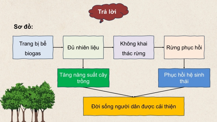 Giáo án điện tử chuyên đề Sinh học 12 cánh diều Ôn tập CĐ 3