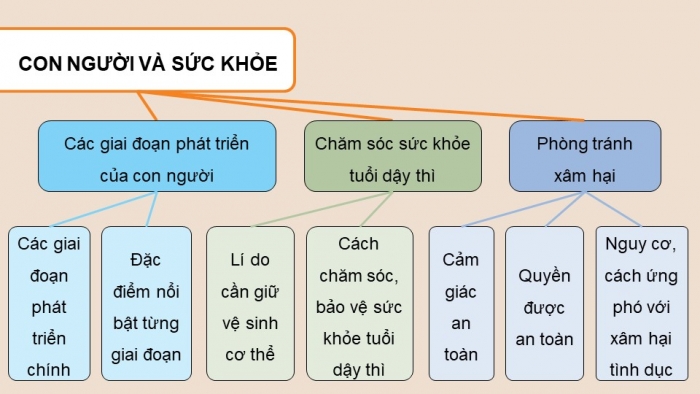 Giáo án điện tử Khoa học 5 chân trời Bài 27: Ôn tập chủ đề Con người và sức khỏe