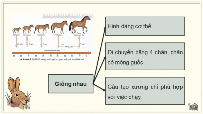 Giáo án điện tử KHTN 9 chân trời - Phân môn Sinh học Bài 46: Khái niệm về tiến hóa và các hình thức chọn lọc