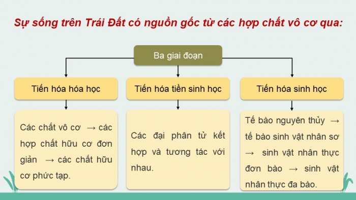 Giáo án điện tử KHTN 9 chân trời - Phân môn Sinh học Bài 48: Phát sinh và phát triển của sự sống trên Trái Đất