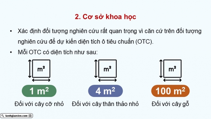 Giáo án điện tử Sinh học 12 kết nối Bài 27: Thực hành Tìm hiểu cấu trúc dinh dưỡng của quần xã trong tự nhiên