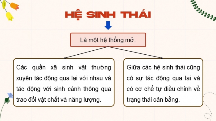 Giáo án điện tử Sinh học 12 kết nối Bài 28: Hệ sinh thái