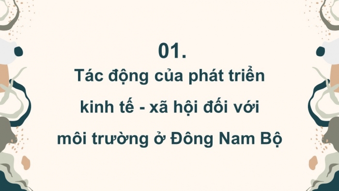 Giáo án điện tử Địa lí 12 chân trời Bài 33: Thực hành Tìm hiểu mối quan hệ giữa phát triển kinh tế – xã hội với bảo vệ môi trường ở Đông Nam Bộ