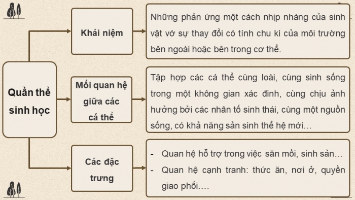 Giáo án điện tử Sinh học 12 chân trời Bài Ôn tập Chương 6