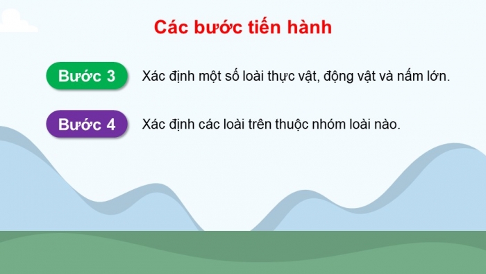 Giáo án điện tử Sinh học 12 chân trời Bài 24: Thực hành Tìm hiểu một số đặc trưng cơ bản của quần xã sinh vật trong tự nhiên