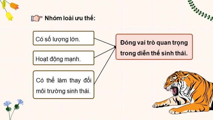 Giáo án điện tử Sinh học 12 chân trời Bài 25: Hệ sinh thái (P2)