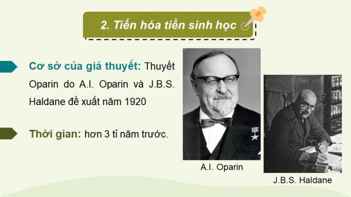 Giáo án điện tử Sinh học 12 cánh diều Bài 19: Sự phát sinh, phát triển sự sống trên Trái Đất và hình thành loài người