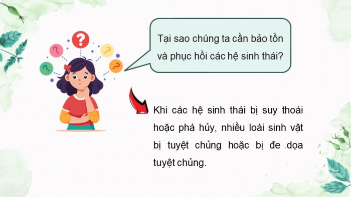 Giáo án điện tử Sinh học 12 cánh diều Bài 25: Sinh thái học phục hồi, bảo tồn