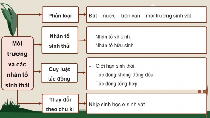 Giáo án điện tử Sinh học 12 cánh diều Bài Ôn tập Phần 7