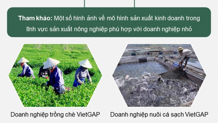 Giáo án điện tử chuyên đề Kinh tế pháp luật 10 kết nối Bài 4: Những vấn đề chung về doanh nghiệp nhỏ (P2)