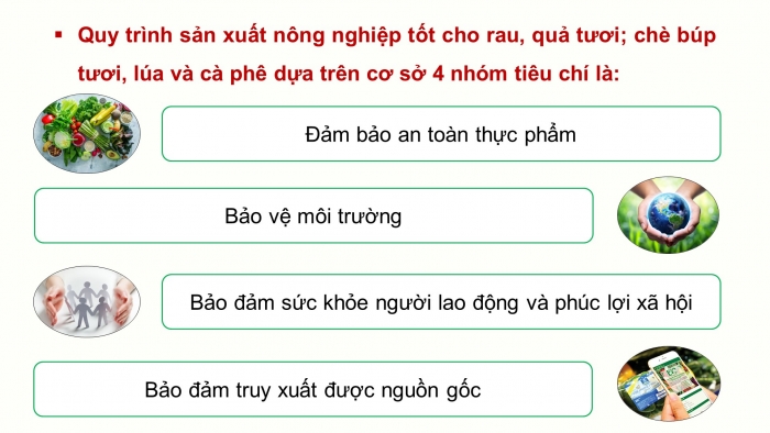 Giáo án điện tử chuyên đề Công nghệ trồng trọt 10 kết nối Bài 11: Giới thiệu về VietGAP trồng trọt