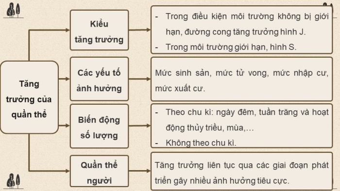 Giáo án điện tử Sinh học 12 chân trời Bài Ôn tập Chương 6