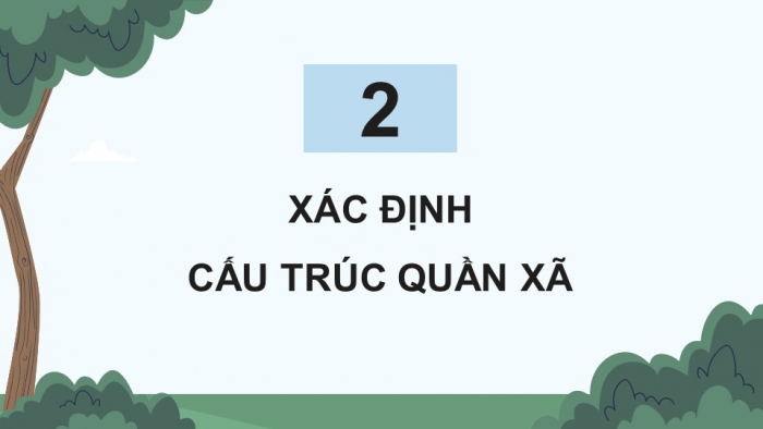 Giáo án điện tử Sinh học 12 chân trời Bài 24: Thực hành Tìm hiểu một số đặc trưng cơ bản của quần xã sinh vật trong tự nhiên