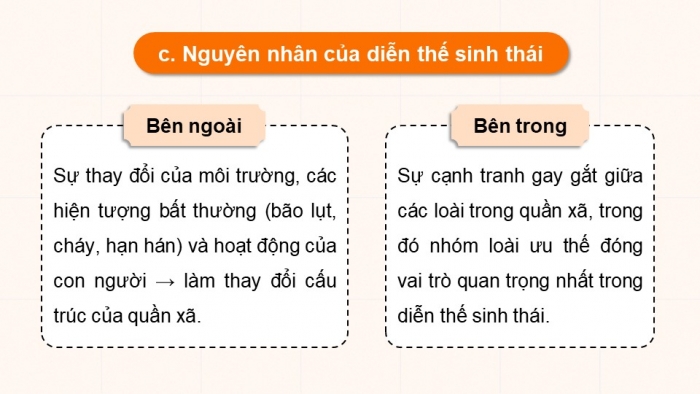 Giáo án điện tử Sinh học 12 chân trời Bài 25: Hệ sinh thái (P2)