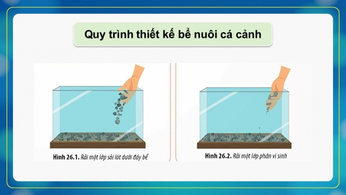 Giáo án điện tử Sinh học 12 chân trời Bài 26: Thực hành Thiết kế hệ sinh thái