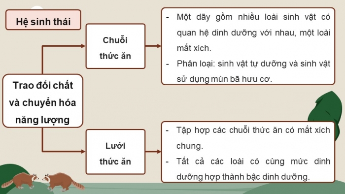 Giáo án điện tử Sinh học 12 chân trời Bài Ôn tập Chương 7