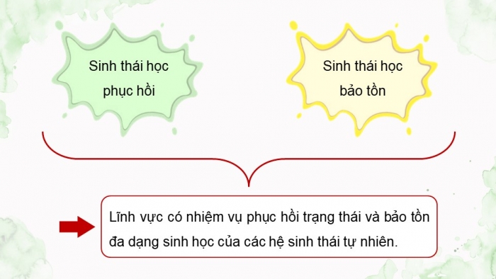 Giáo án điện tử Sinh học 12 chân trời Bài 27: Sinh thái học phục hồi và bảo tồn