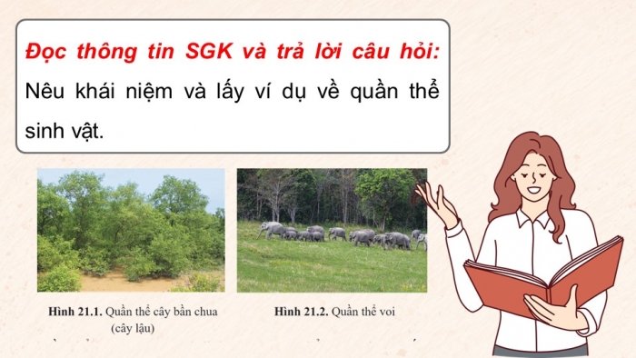 Giáo án điện tử Sinh học 12 cánh diều Bài 21: Sinh thái học quần thể