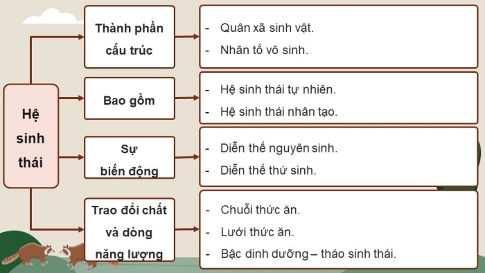 Giáo án điện tử Sinh học 12 cánh diều Bài Ôn tập Phần 7