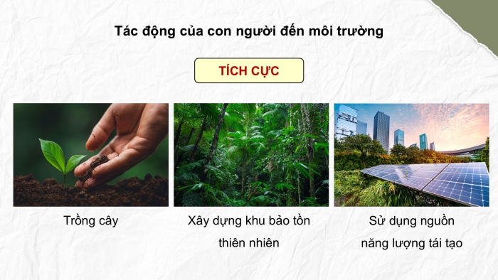 Giáo án điện tử Khoa học 5 cánh diều Bài Ôn tập chủ đề Sinh vật và môi trường