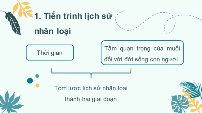 Giáo án PPT dạy thêm Ngữ văn 12 Kết nối bài 8: Đời muối (Trích Đời muối: Lịch sử thế giới – Mác Kơ-len-xki – Mark Kurlansky)