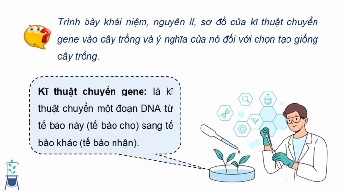 Giáo án điện tử chuyên đề Công nghệ trồng trọt 10 kết nối Bài 2: Một số ứng dụng công nghệ sinh học trong chọn tạo giống cây trồng