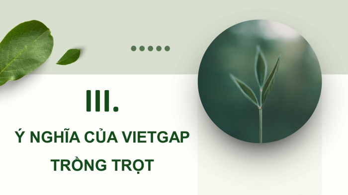 Giáo án điện tử chuyên đề Công nghệ trồng trọt 10 kết nối Bài 11: Giới thiệu về VietGAP trồng trọt