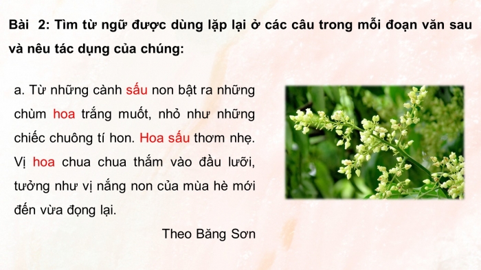 Giáo án điện tử Tiếng Việt 5 chân trời Bài 3: Liên kết các câu trong đoạn văn bằng cách lặp từ ngữ