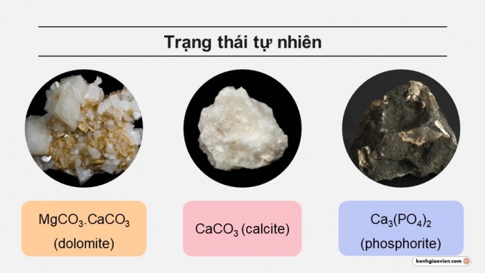 Giáo án điện tử Hoá học 12 chân trời Bài 18: Nguyên tố nhóm IIA