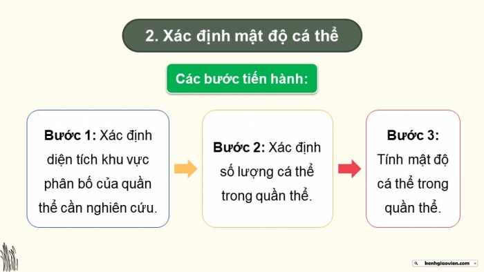 Giáo án điện tử Sinh học 12 chân trời Bài 22: Thực hành Xác định một số đặc trưng cơ bản của quần thể sinh vật