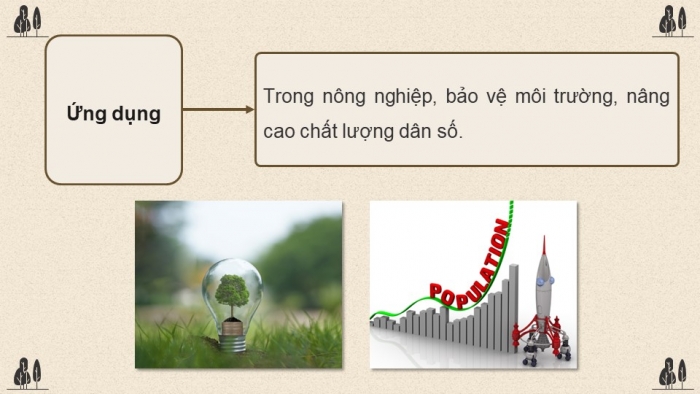 Giáo án điện tử Sinh học 12 chân trời Bài Ôn tập Chương 6