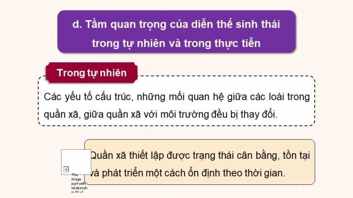 Giáo án điện tử Sinh học 12 chân trời Bài 25: Hệ sinh thái (P2)