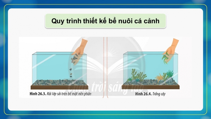 Giáo án điện tử Sinh học 12 chân trời Bài 26: Thực hành Thiết kế hệ sinh thái