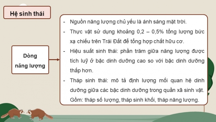 Giáo án điện tử Sinh học 12 chân trời Bài Ôn tập Chương 7