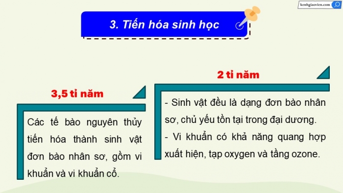 Giáo án điện tử Sinh học 12 cánh diều Bài 19: Sự phát sinh, phát triển sự sống trên Trái Đất và hình thành loài người