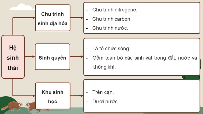 Giáo án điện tử Sinh học 12 cánh diều Bài Ôn tập Phần 7