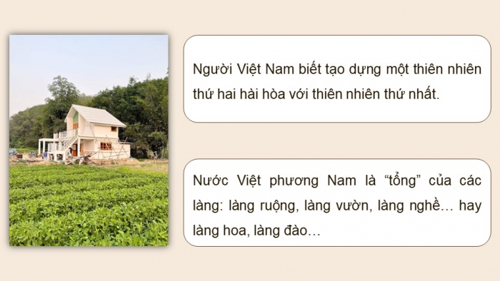 Giáo án PPT dạy thêm Ngữ văn 9 Kết nối bài 9: Văn hóa hoa – cây cảnh (Trần Quốc Vượng)