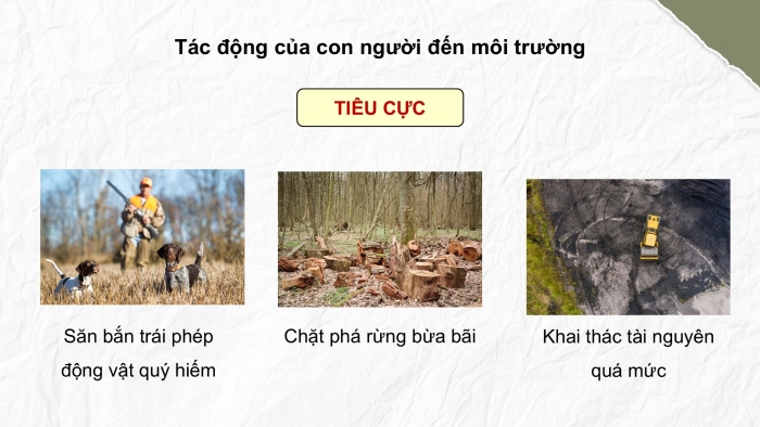 Giáo án điện tử Khoa học 5 cánh diều Bài Ôn tập chủ đề Sinh vật và môi trường