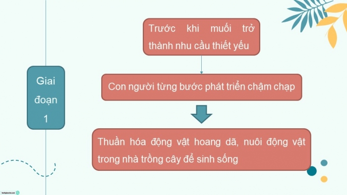 Giáo án PPT dạy thêm Ngữ văn 12 Kết nối bài 8: Đời muối (Trích Đời muối: Lịch sử thế giới – Mác Kơ-len-xki – Mark Kurlansky)